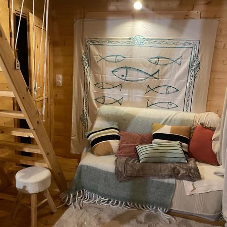 Maison En Bois 1 Chambre 4 Couchages Type Tiny House Гранвиль Экстерьер фото